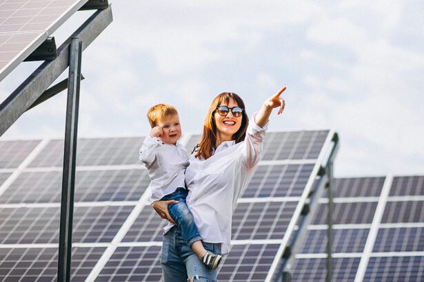 Fine del mercato tutelato: "Largo alle rinnovabili" 65