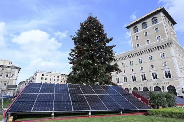 Fotovoltacchio, Gualtieri: "Giusta scelta di sostenibilità pratica e simbolica" 13