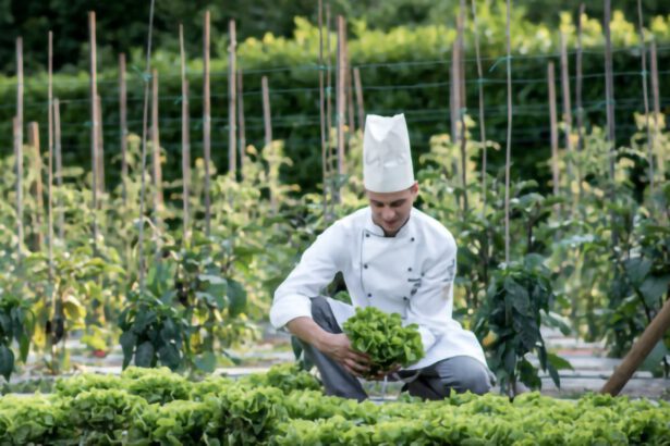 La Guida Touring 2025 premia i ristoranti con prodotti a km0 19