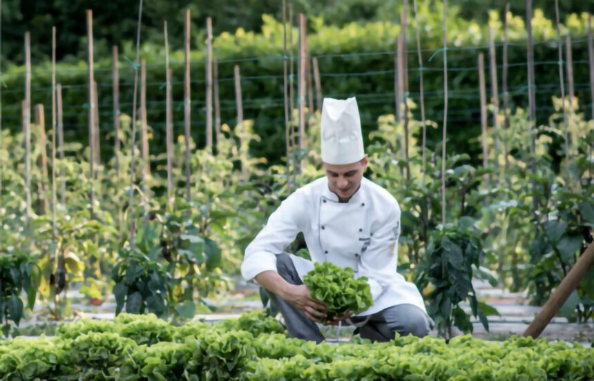 La Guida Touring 2025 premia i ristoranti con prodotti a km0 1