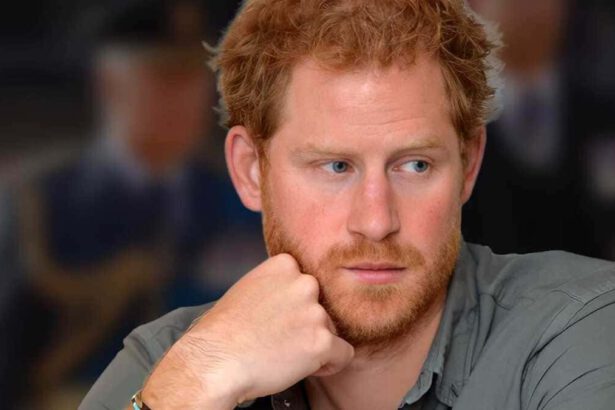 Harry aspetta un figlio da un'altra donna: la verità dietro le indiscrezioni 5