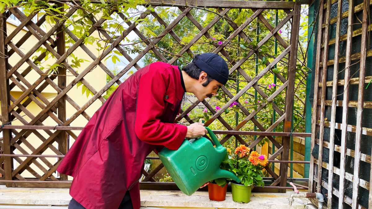 Avincola come Battisti: "Cantare Panella è poesia" 11