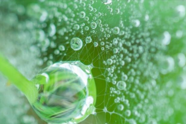 Idrogeno verde dall'energia solare: "La potenza del sole nelle oparticelle" 57