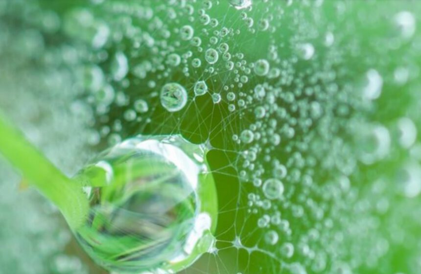 Idrogeno verde dall'energia solare: "La potenza del sole nelle oparticelle" 1