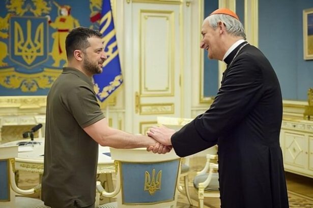 Il cardinale Zuppi in missione a Mosca per la pace: "L'obiettivo è il rilascio dei bambini ucraini" 17