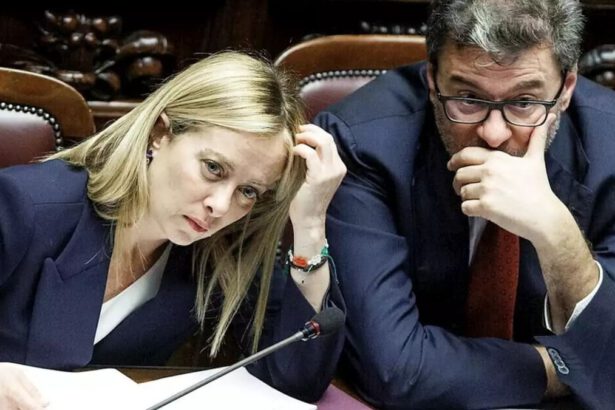 Iva azzerata su pane e latte. Codacons: “Non produrrà vantaggi reali sui consumatori” 11