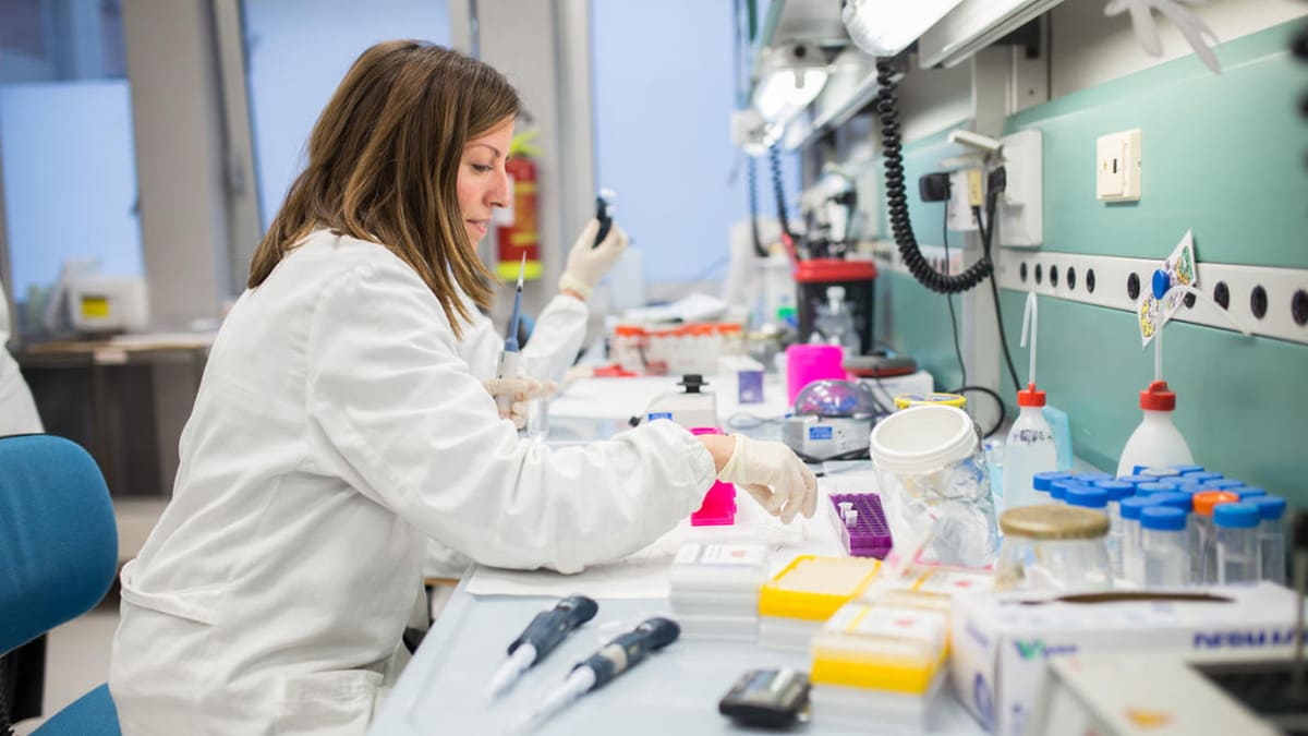 Leucemia mieloide acuta, team internazionale: “Scoperto un gene che può contrastarla” 11