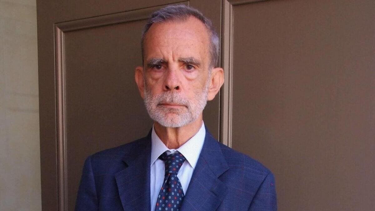 Luca Serianni, il linguista investito a Ostia sulle strisce: è in coma 19