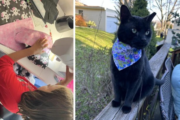 Malia a 11 anni cuce bandane per cani e gatti: “Li aiuto a trovare una famiglia” 14