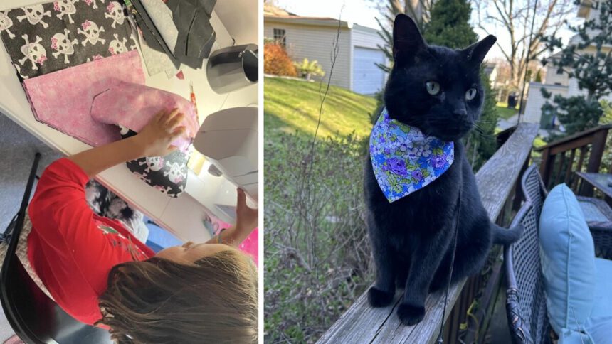 Malia a 11 anni cuce bandane per cani e gatti: “Li aiuto a trovare una famiglia” 1
