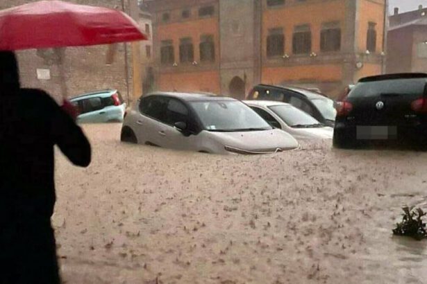 Maltempo Marche, esondato il Misa: 8 vittime e 4 dispersi tra cui due bambini 10