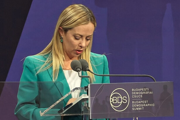 Meloni a Budapest: "Il Governo rimarrà in carica per molti anni, incentiviamo nascite e famiglie" 15