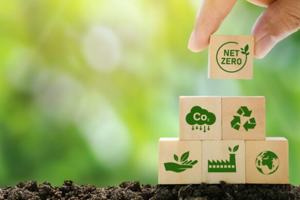 Neutralità carbonica: "Possibile triplicando gli impianti rinnovabili" 65