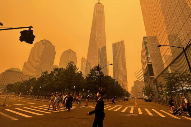 New York e Usa avvolti dal fumo. Cosa succede e perché c'entra il cambiamento climatico 17