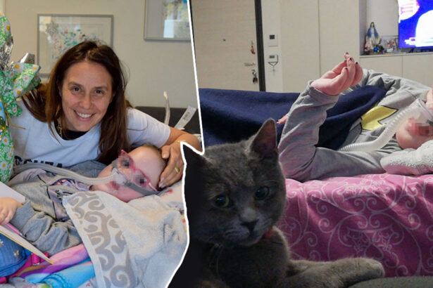 Malata di SMA a 11 anni, Noemi continua a lottare: "Le avevano dato 3 mesi di vita" 37