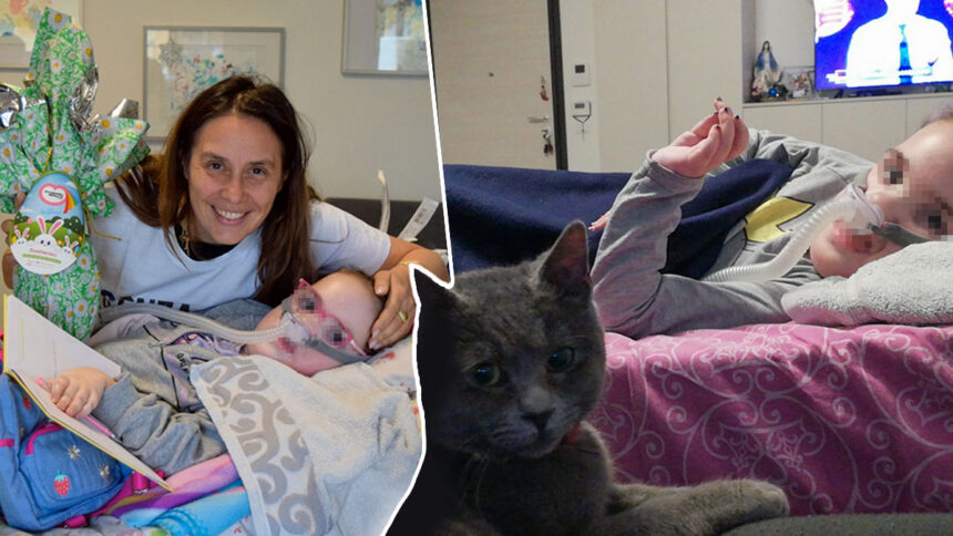 Malata di SMA a 11 anni, Noemi continua a lottare: "Le avevano dato 3 mesi di vita" 1