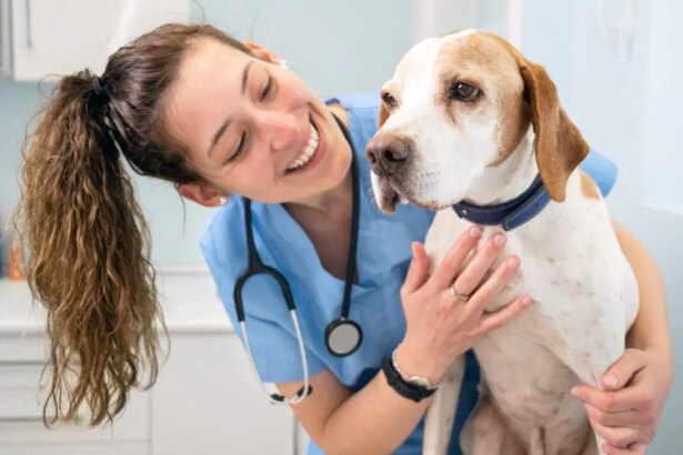 Arriva a Roma il primo ospedale veterinario gratuito d’Italia 11