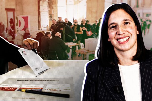 Si legge Pd ma non è piattaforma digitale: primarie del 1953 19