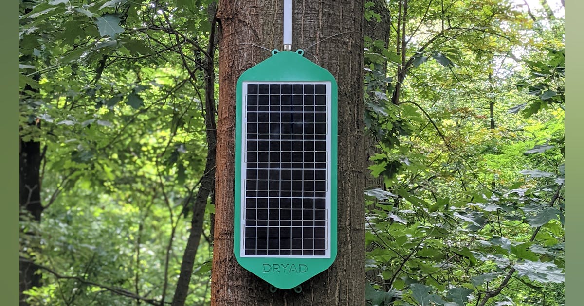 Pannello solare salva boschi: "È la sentinella del verde" 4
