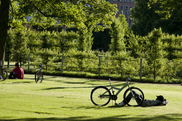 I 10 paesi più ecosostenibili dove andare in vacanza: ecco la classifica 11