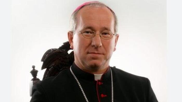 L'ultima settimana del Papa: rimuove un vescovo per copertura abusi sui minori e invita Kiev a negoziare 4 L'ultima settimana del Papa: rimuove un vescovo per copertura abusi sui minori e invita Kiev a negoziare 3