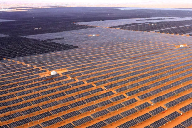 Potenziale fotovoltaico globale: "I paesi in via di sviluppo alimenteranno il mondo" 53