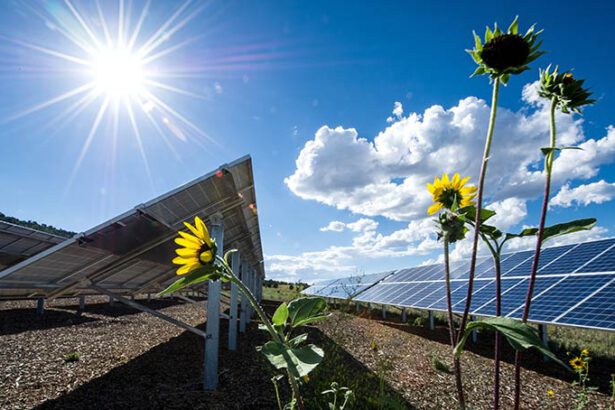 Procedure semplificate, verso lo sdoganamento green di eolico e fotovoltaico 14