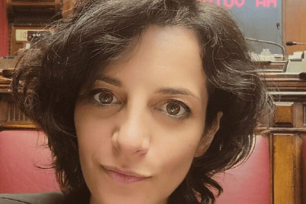 Deputata Silvestri: “Costretta al test di paternità per mio figlio. Il padre non è un politico di Fdi” 14
