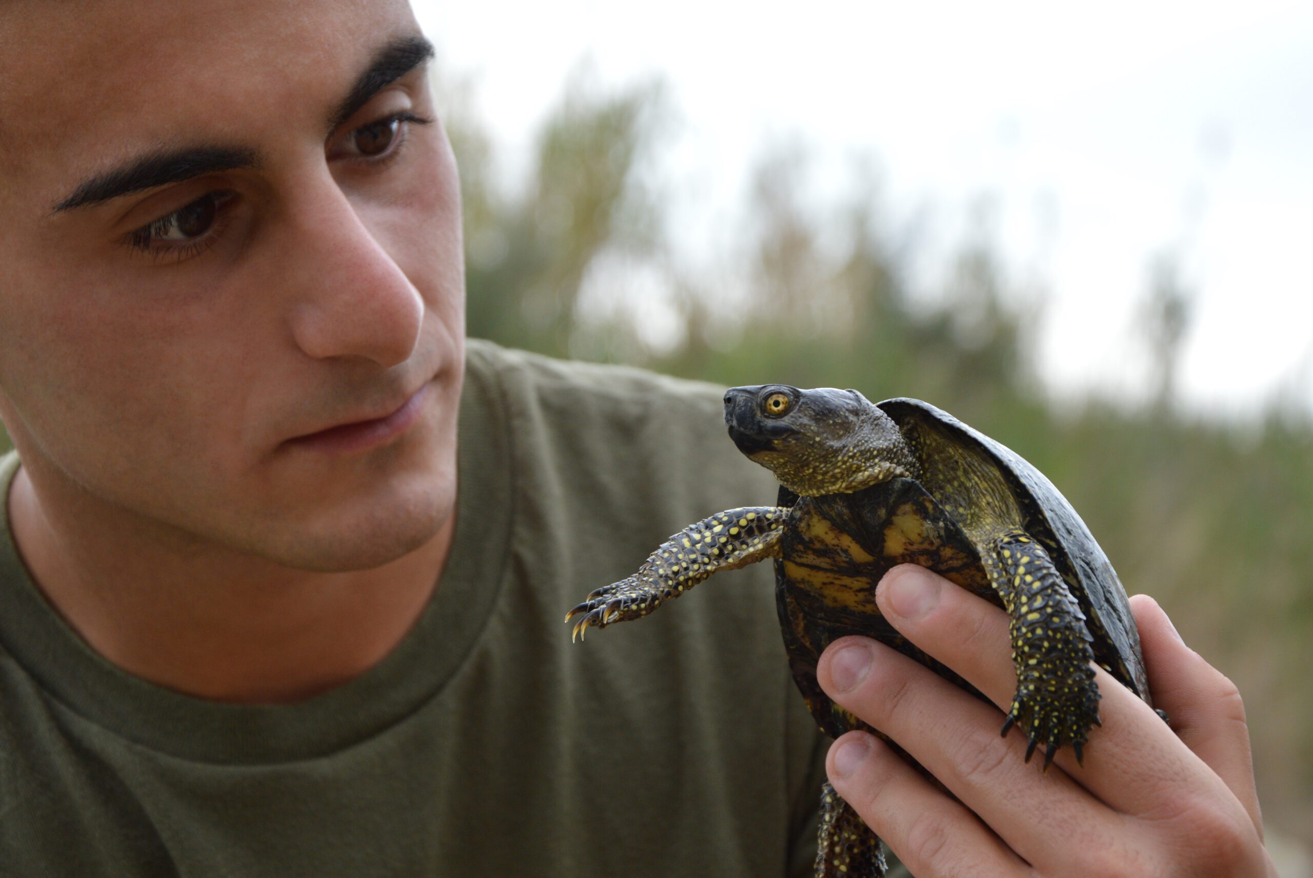 Sebastian Colnaghi: il green influencer da 2 milioni di Follower  5