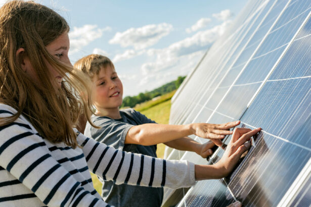 Energia solare, un'azione concreta per la salvaguardia della natura 57