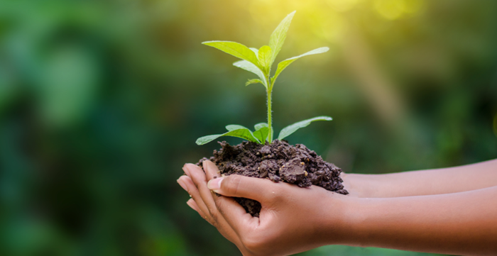 Il ruolo della sostenibilità ambientale nelle politiche pubbliche 6 Il ruolo della sostenibilità ambientale nelle politiche pubbliche 5