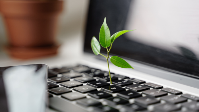 Le migliori strategie di sostenibilità per le imprese 3