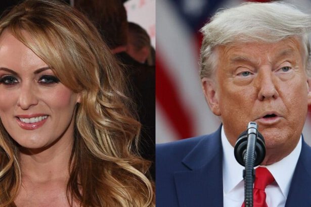 Chi è Stormy Daniels, ex pornostar che ha fatto incriminare Donald Trump 18