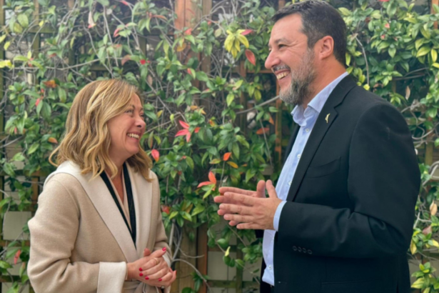 Il ruolo della sostenibilità ambientale nelle politiche pubbliche 73