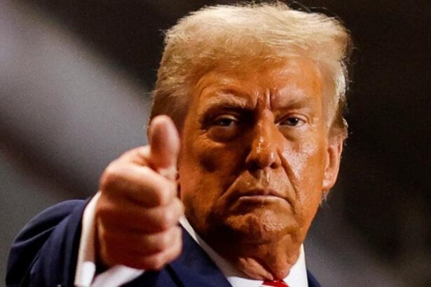 Perché in America è boom di pillole abortive dopo l'elezione di Trump? 15