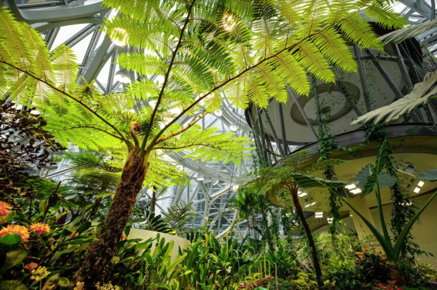 L'era della tecnologia biodegradabile è sempre più vicina 2 L'era della tecnologia biodegradabile è sempre più vicina 1