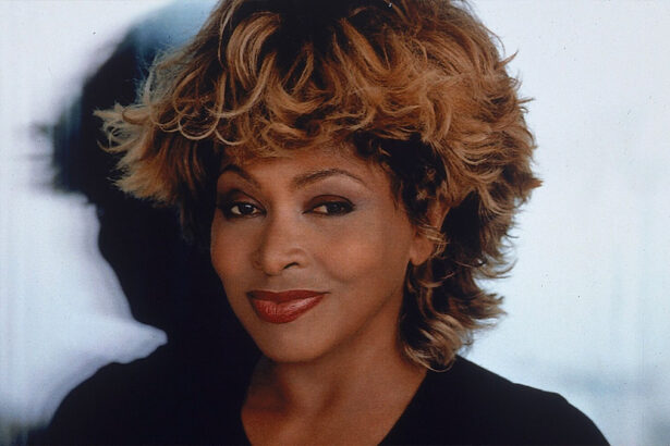 Tina Turner, patrimonio, figli e legame con l'Italia, Eros Ramazzotti ed Elisa: “Orgogliosi di me” 14