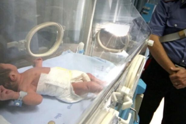 Miracolo nel trapanese, trovato vivo neonato in campagna: era in un sacchetto di plastica 15