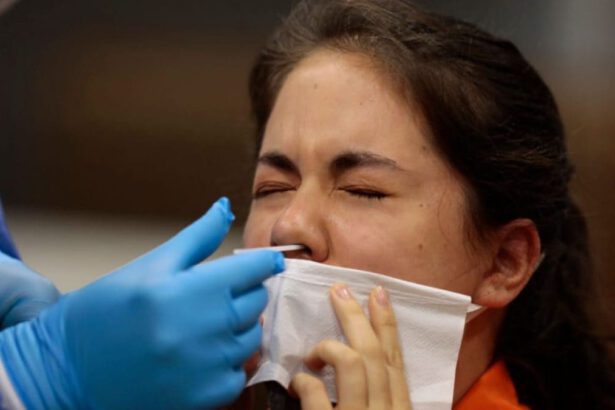 Cos’è la variante Gryphon che arriva dalla Cina e perché preoccupa 6