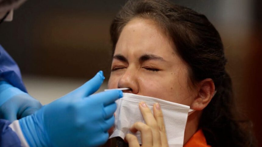 Cos’è la variante Gryphon che arriva dalla Cina e perché preoccupa 1