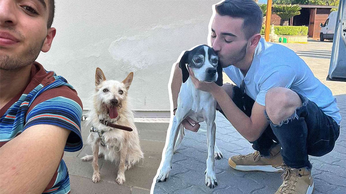 Vincenzo Deodati, il 18enne calabrese salva più di 200 cani: “Basta abbandoni ai canili, adottiamo” 21