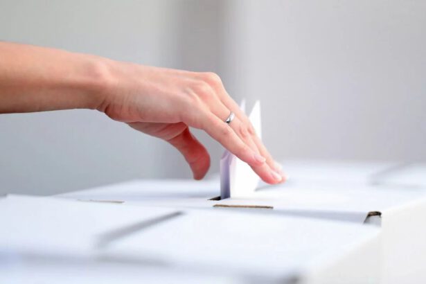 Elezioni politiche 2022: ecco perché rischiano di slittare al 25 novembre 14