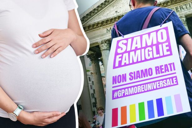 Maternità surrogata: quali sono le 30 coppie pronte a fare ricorso? 17