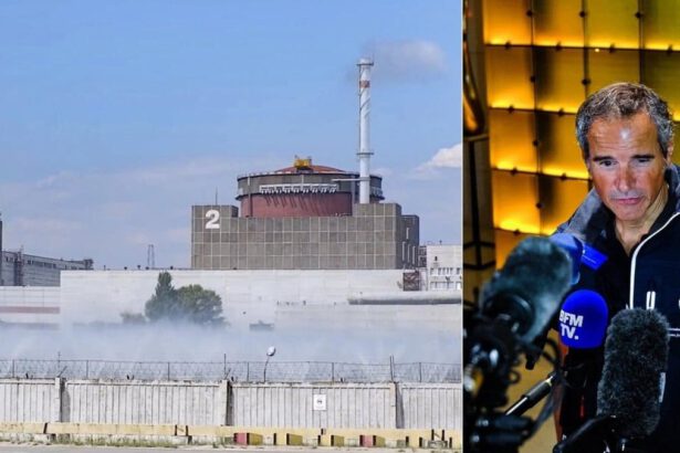 Centrale nucleare di Zaporizhzhia: perché preoccupa e cosa potrebbe accadere 18