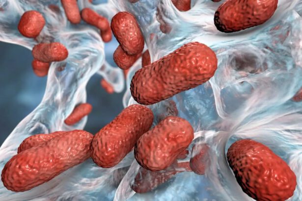 Scoperto antibiotico Zosurabalpin: come agisce contro il batterio multiresistente ai farmaci 17