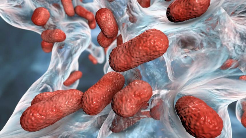 Scoperto antibiotico Zosurabalpin: come agisce contro il batterio multiresistente ai farmaci 1