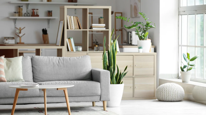 7 idee per una casa eco-friendly senza spendere una fortuna 3