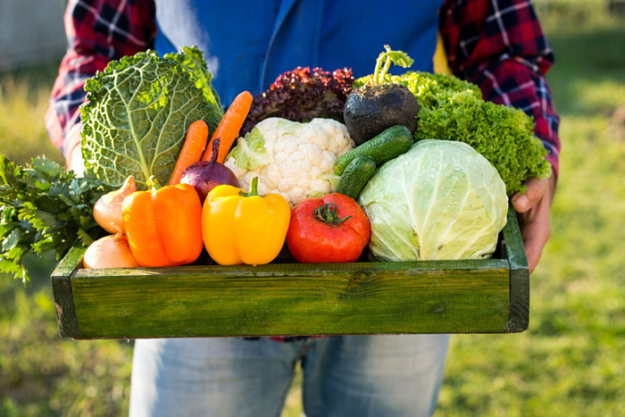 Abitudini eco-friendly: come iniziare a vivere in modo sostenibile 5