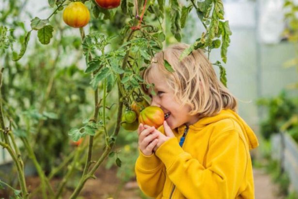 Abitudini eco-friendly: come iniziare a vivere in modo sostenibile 8