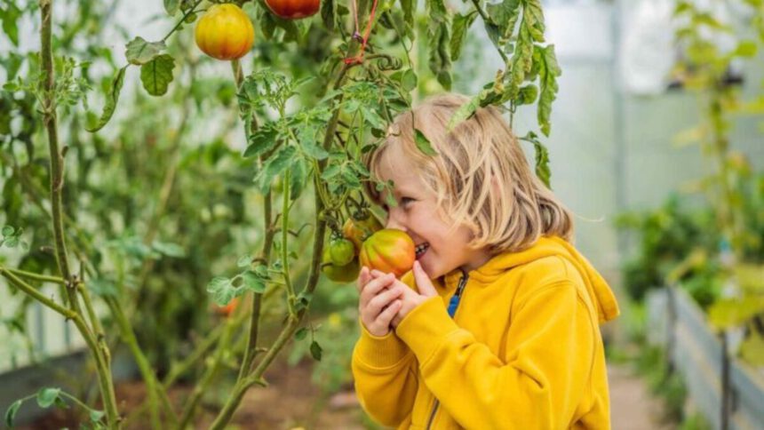 Abitudini eco-friendly: come iniziare a vivere in modo sostenibile 1